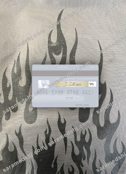 Syria Gulf Bank visa debit card photolook back